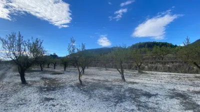 Rustic Finca in Moratalla photo 12