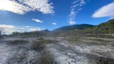Rustic Finca in Moratalla photo 15