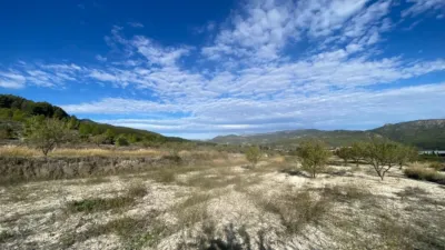 Rustic Finca in Moratalla photo 16