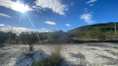 Rustic Finca in Moratalla photo 37