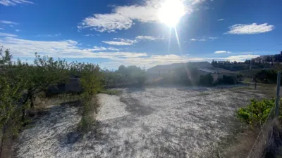 Rustic Finca in Moratalla photo 39