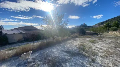 Rustic Finca in Moratalla photo 40