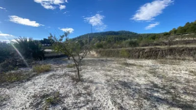 Rustic Finca in Moratalla photo 41