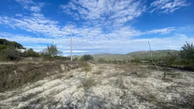 Rustic Finca in Moratalla photo 43
