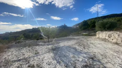 Rustic Finca in Moratalla photo 45