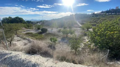 Rustic Finca in Moratalla photo 47