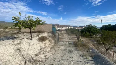 Rustic Finca in Moratalla photo 48
