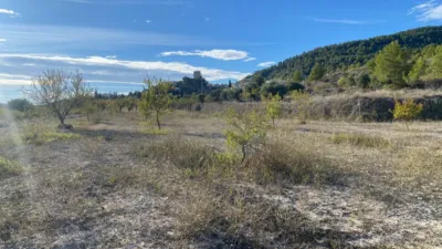 Rustic Finca in Moratalla photo 4