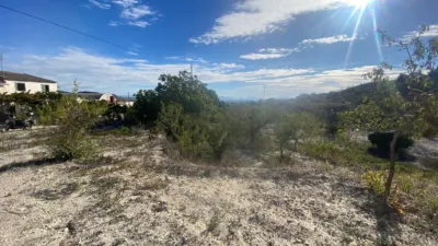 Rustic Finca in Moratalla photo 51