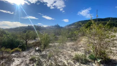 Rustic Finca in Moratalla photo 52
