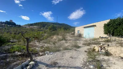 Rustic Finca in Moratalla photo 57