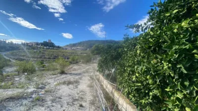 Rustic Finca in Moratalla photo 58