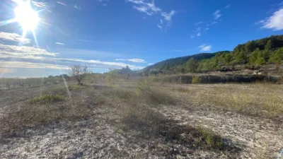 Rustic Finca in Moratalla photo 5