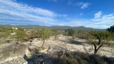Rustic Finca in Moratalla photo 6