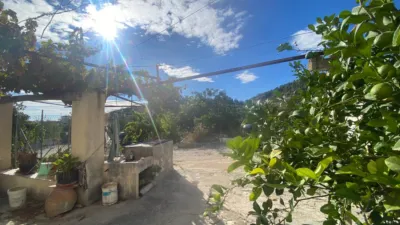 Rustic Finca in Moratalla photo 74
