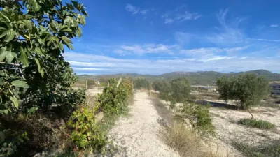Rustic Finca in Moratalla photo 76