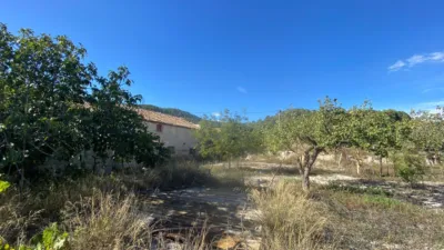 Rustic Finca in Moratalla photo 79