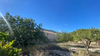 Rustic Finca in Moratalla photo 80