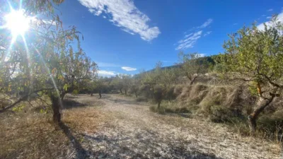 Rustic Finca in Moratalla photo 8