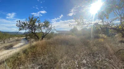 Rustic Finca in Moratalla photo 9