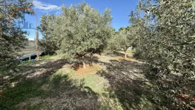 Chalet on Calle Cirilos, Los - Ds El Plan photo 14