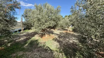 Chalet on Calle Cirilos, Los - Ds El Plan photo 15