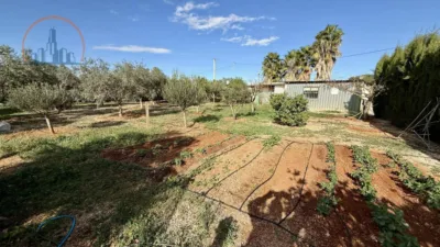 Chalet on Calle Cirilos, Los - Ds El Plan photo 26