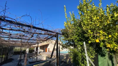 Chalet in Huerta de Moratalla photo 31