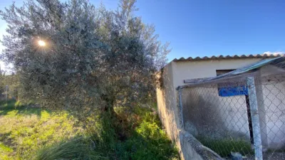 Chalet in Huerta de Moratalla photo 33