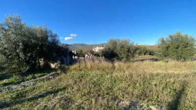 Chalet in Huerta de Moratalla photo 40