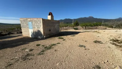 Rustic Finca in Moratalla photo 11