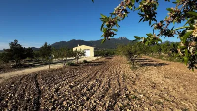 Rustic Finca in Moratalla photo 12