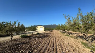 Rustic Finca in Moratalla photo 13