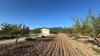 Rustic Finca in Moratalla photo 14