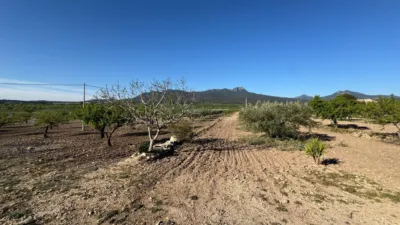 Rustic Finca in Moratalla photo 16