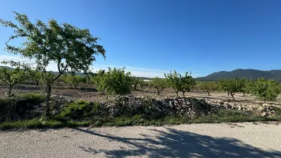 Rustic Finca in Moratalla photo 17