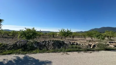 Rustic Finca in Moratalla photo 18