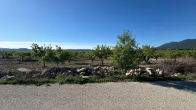 Rustic Finca in Moratalla photo 19