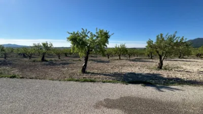 Rustic Finca in Moratalla photo 20