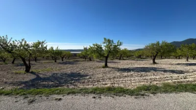 Rustic Finca in Moratalla photo 22