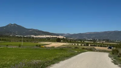 Rustic Finca in Moratalla photo 23
