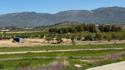 Rustic Finca in Moratalla photo 25