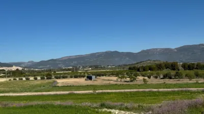Rustic Finca in Moratalla photo 26
