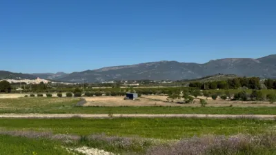 Rustic Finca in Moratalla photo 27