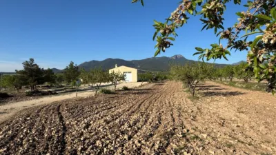 Rustic Finca in Moratalla photo 7