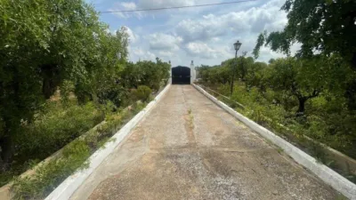 Finca rústica en venta en Calle Poligono 51, Número 26, El Respirall-Santa Maria de Bonaire-El Racó (Alzira) de 500.000 €