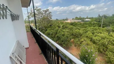 Finca rústica en venta en Calle Poligono 51, Número 26, El Respirall-Santa Maria de Bonaire-El Racó (Alzira) de 500.000 €