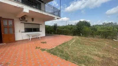 Finca rústica en venta en Calle Poligono 51, Número 26, El Respirall-Santa Maria de Bonaire-El Racó (Alzira) de 500.000 €