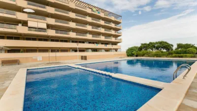 Piso – Elx - Elche - Vista 3