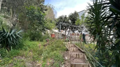 House in Can Raimí - Les Ginesteres - Can Cabot photo 51